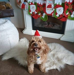 Meet your Posher, Debra